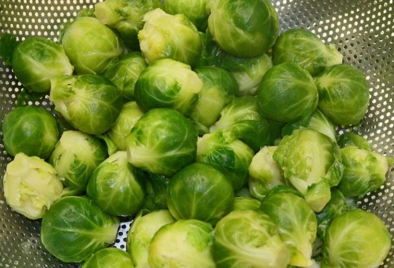 Cooked_brussels_sprout_grams_in_a_cup