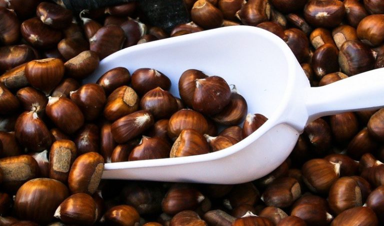 How_much_chestnuts_are_in_a_cup