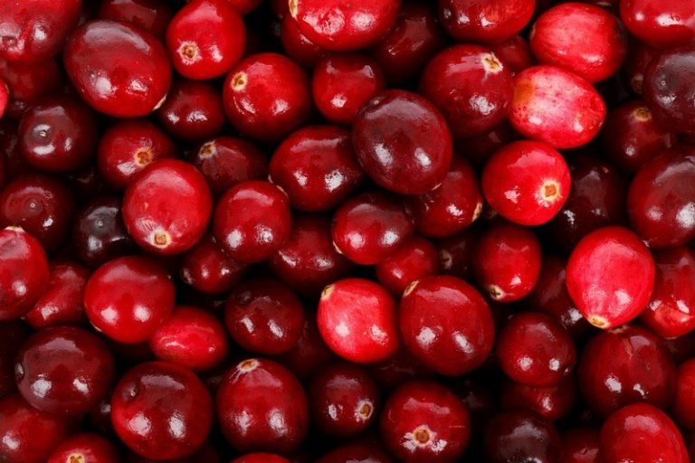 How_much_cranberries_in_a_cup