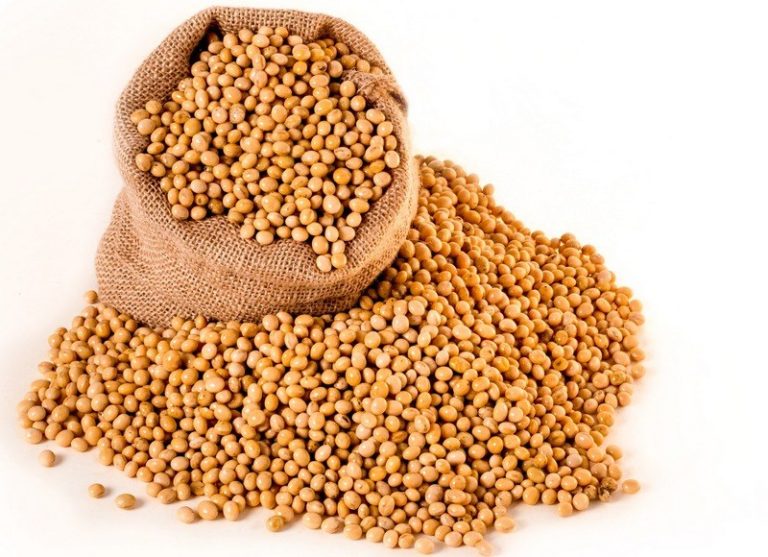 How_much_soybeans_are_in_a_cup