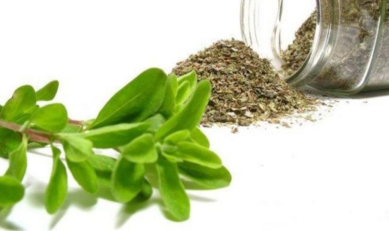 Dried_marjoram_volume_to_weight_converter