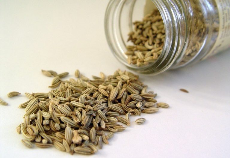 How_do_you_measure_fennel_seeds_with_spoons