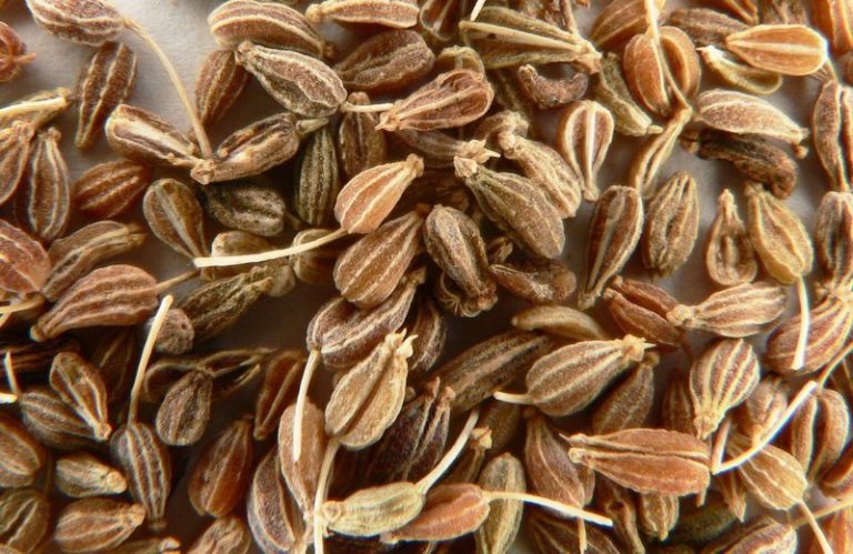 How_much_aniseed_is_in_a_spoon