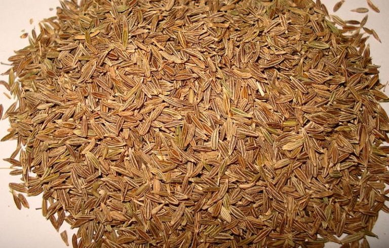 How_much_cumin_seeds_are_in_a_spoon