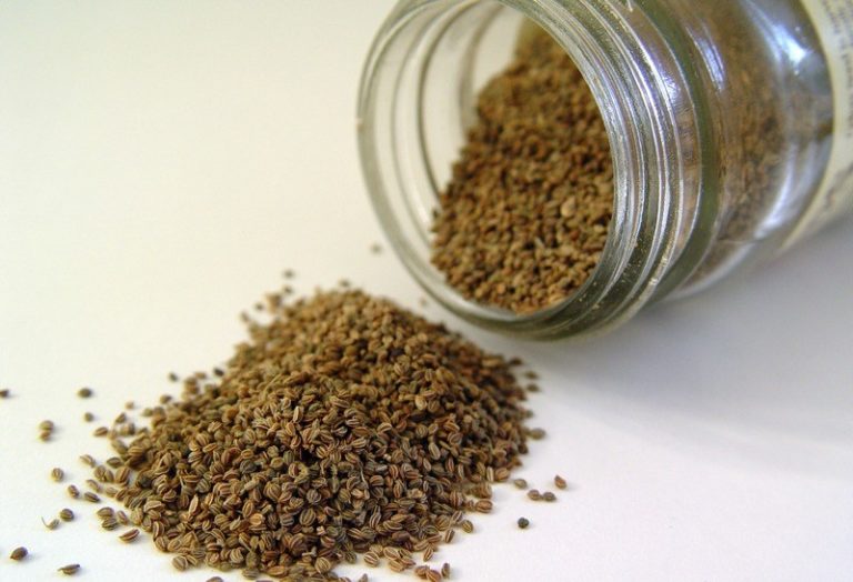 How_you_measure_celery_seed_with_spoons